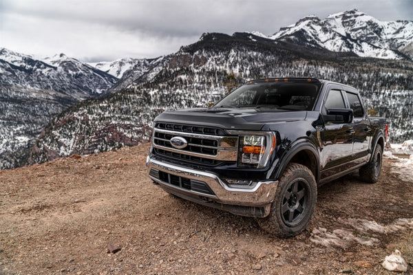 Husky Liners 15-20 Ford F-150 Excl. Raptor Aeroskin II Low Profile - Tex. Black