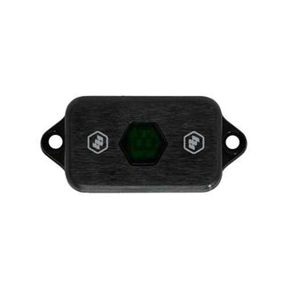 LED Rock Light (Green)