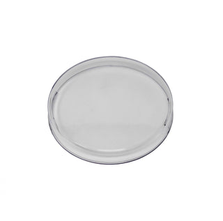 Squadron-R Rock Guard (Clear)