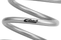 EMS Motorcycle Spring