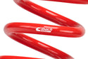 ERS Motorsport Spring