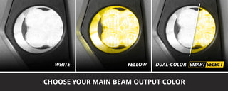 Diode Dynamics 96-17 Dodge Viper/ Ford F-150/Toyota Tundra/Sequoia/Tacoma SS3 LED Fog Light Kit