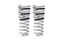 Pro-Lift Springs
