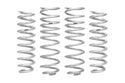 Pro-Lift Springs