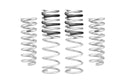 Pro-Lift Springs
