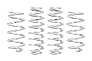 Pro-Lift Springs