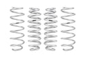 Pro-Lift Springs