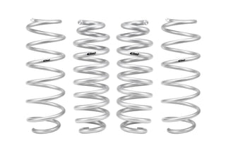 Pro-Lift Springs