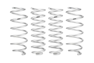 Pro-Lift Springs