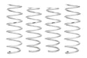 Pro-Lift Springs