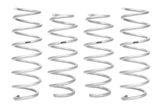 Pro-Lift Springs