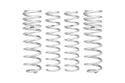 Pro-Lift Springs