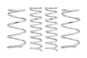 Pro-Lift Springs