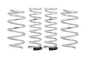 Pro-Lift Springs