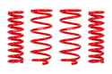 Pro-Lift Springs