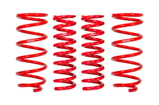 Pro-Lift Springs