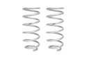 Pro-Lift Springs