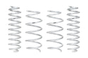 Pro-Lift Springs