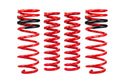 Pro-Lift Springs