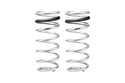 Pro-Lift Springs