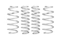 Pro-Lift Springs
