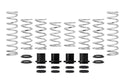 Pro-UTV Spring Kit