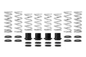 Pro-UTV Spring Kit