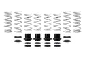 Pro-UTV Spring Kit