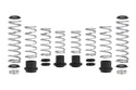 Pro-UTV Spring Kit