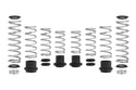 Pro-UTV Spring Kit