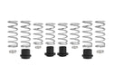 Pro-UTV Spring Kit