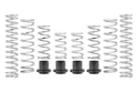 Pro-UTV Spring Kit