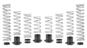 Pro-UTV Spring Kit