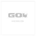 Go Rhino752404113CDS - Bright Series Lights - 41.5